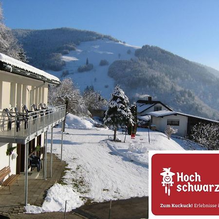 Steiert Panorama Apartments Todtnau Exterior foto
