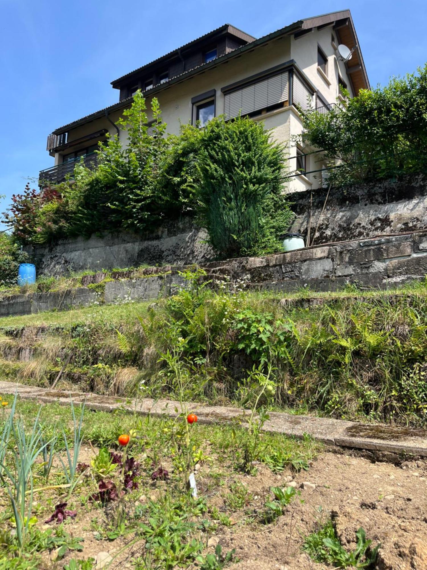 Steiert Panorama Apartments Todtnau Exterior foto