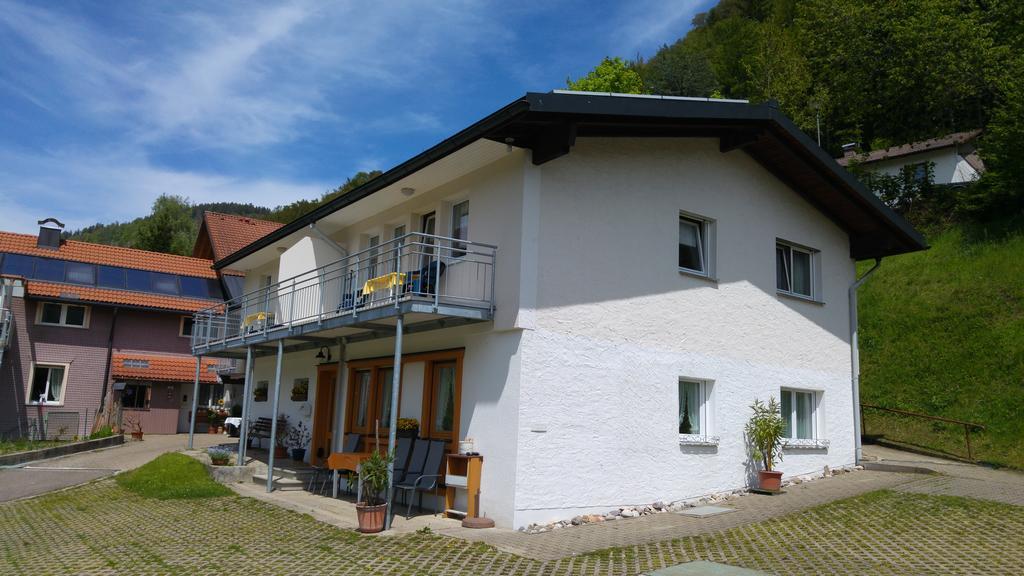 Steiert Panorama Apartments Todtnau Exterior foto