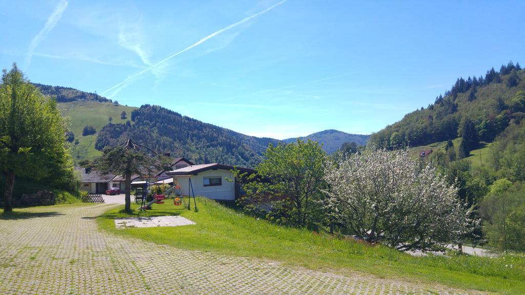 Steiert Panorama Apartments Todtnau Exterior foto