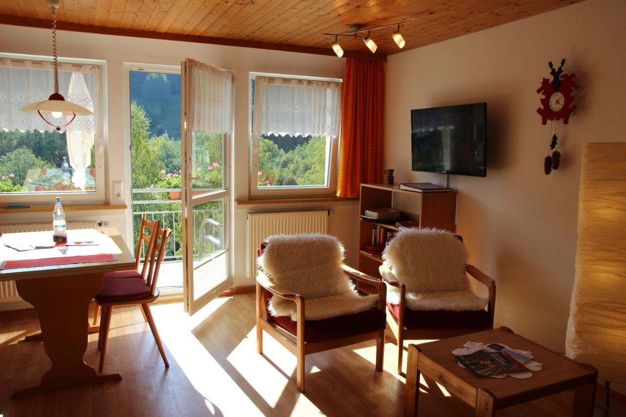 Steiert Panorama Apartments Todtnau Exterior foto