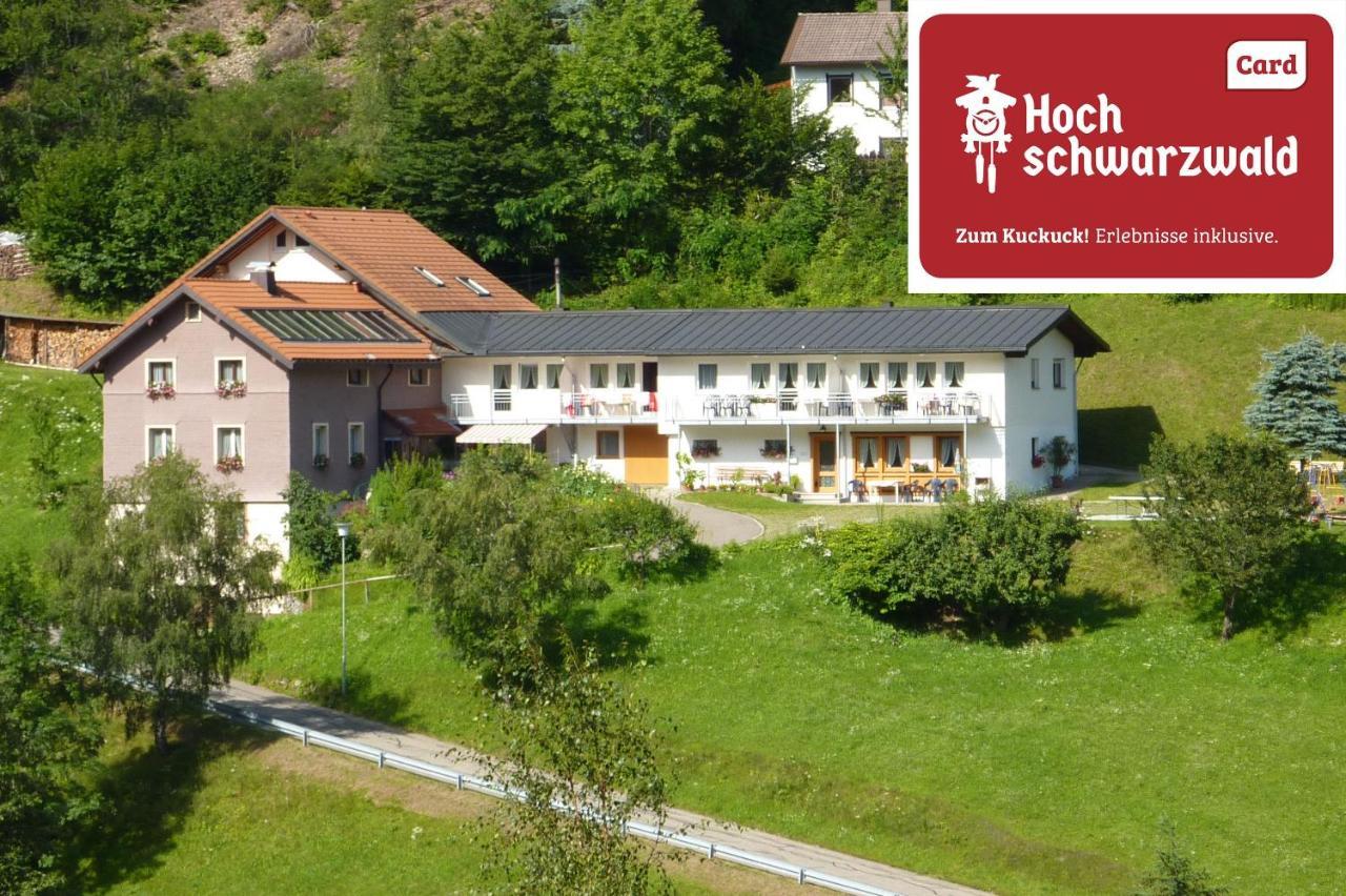 Steiert Panorama Apartments Todtnau Exterior foto