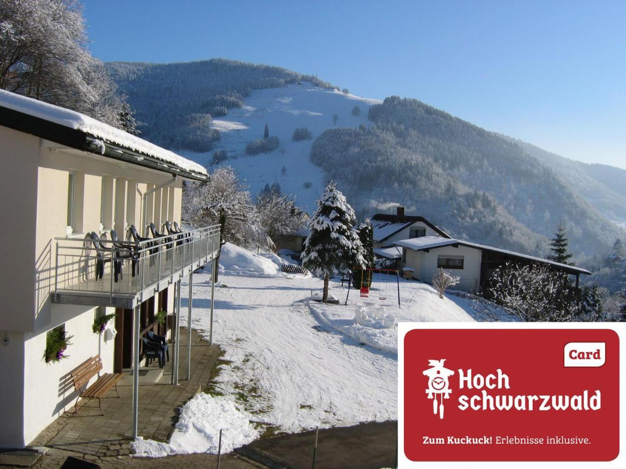Steiert Panorama Apartments Todtnau Exterior foto